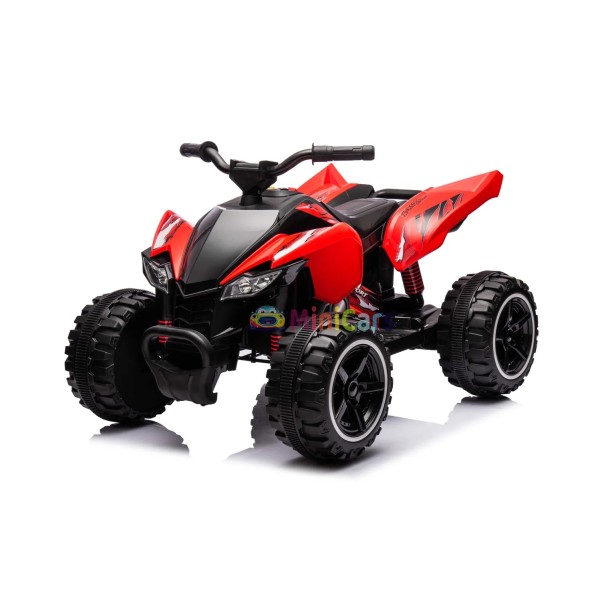 Elektrische quad voor kinderen KIDS ATV 2x30W | Minicars.nl
