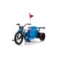 Elektrisches Drift-Tricycle 24V 2x120W mit Gurt | Minicars.fr