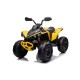 Elektrische quad Can-Am Renegade 2x35W voor kinderen | Minicars.nl