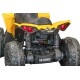Quad Eléctrico Niño Can-Am Renegade 2x35W Telecommando | Minicars.fr