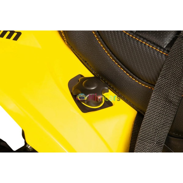 Quad Eléctrico Niño Can-Am Renegade 2x35W Telecommando | Minicars.fr