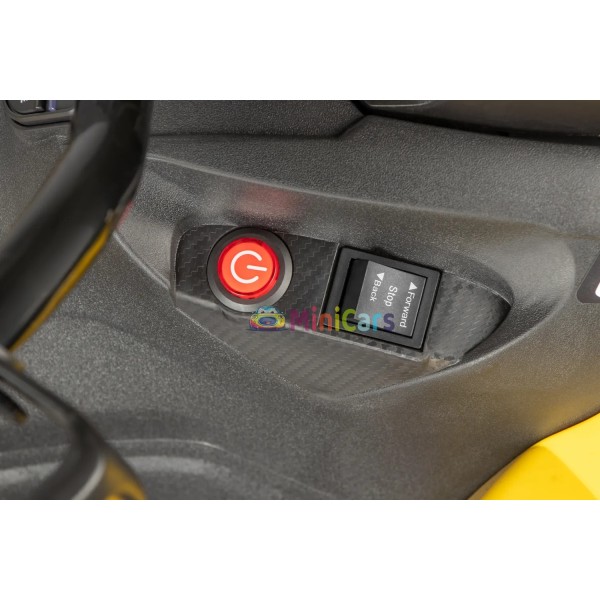 Elektrische quad Can-Am Renegade 2x35W voor kinderen | Minicars.nl