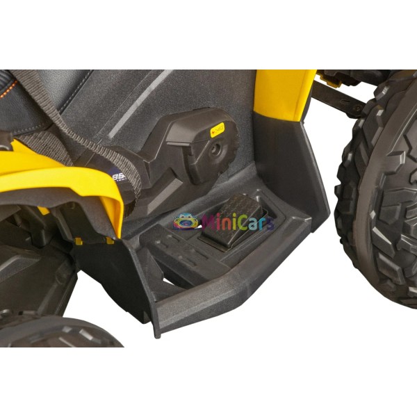 Elektrische quad Can-Am Renegade 2x35W voor kinderen | Minicars.nl