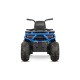 Quad Elettrico Bambini 12V 2x35W con Telecomando Parentale | Minicars