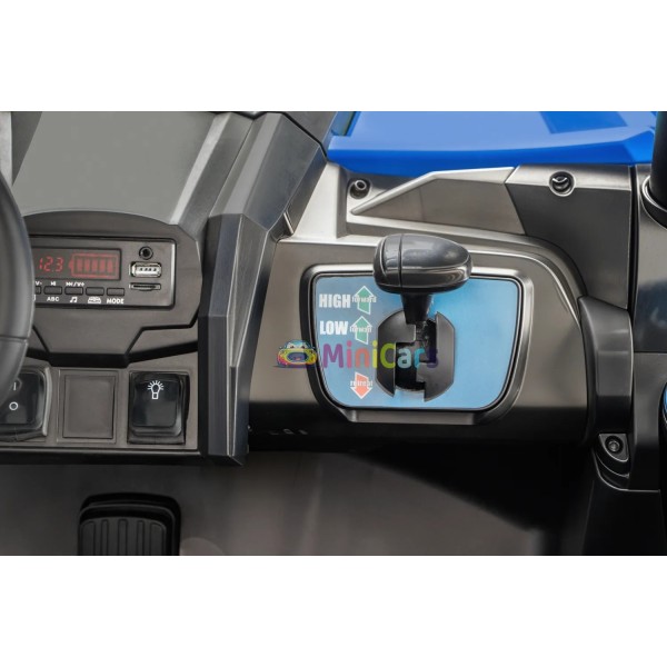 Buggy Elettrico 2 Posti Trazione Integrale 4x55W | Minicars