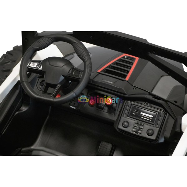 Elektrische Buggy 2 Personen 24V 4x4 150W | Minicars.fr