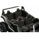 Buggy Enfant 4 Places 4x150W 24V Traction Intégrale | Minicars.fr