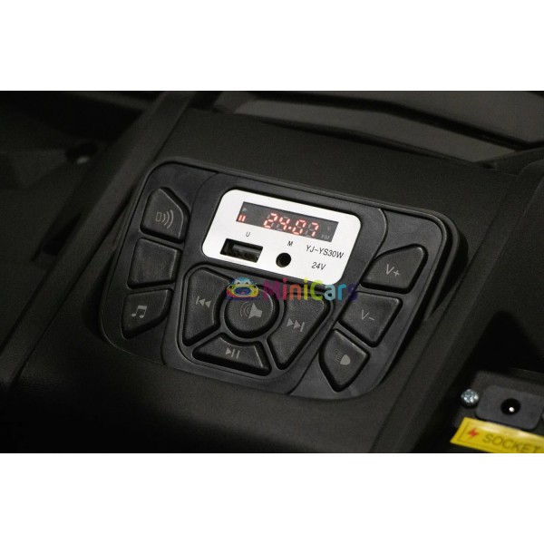 Buggy Elettrico 4 Posti 4x150W 24V Trazione Integrale | Minicars.fr