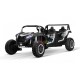 Elektro Buggy 4-Sitzer 4x150W Allrad 24V | Minicars.fr