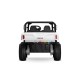 Buggy Électrique Enfant 2 Places 4x35W Tout-Terrain | Minicars.fr